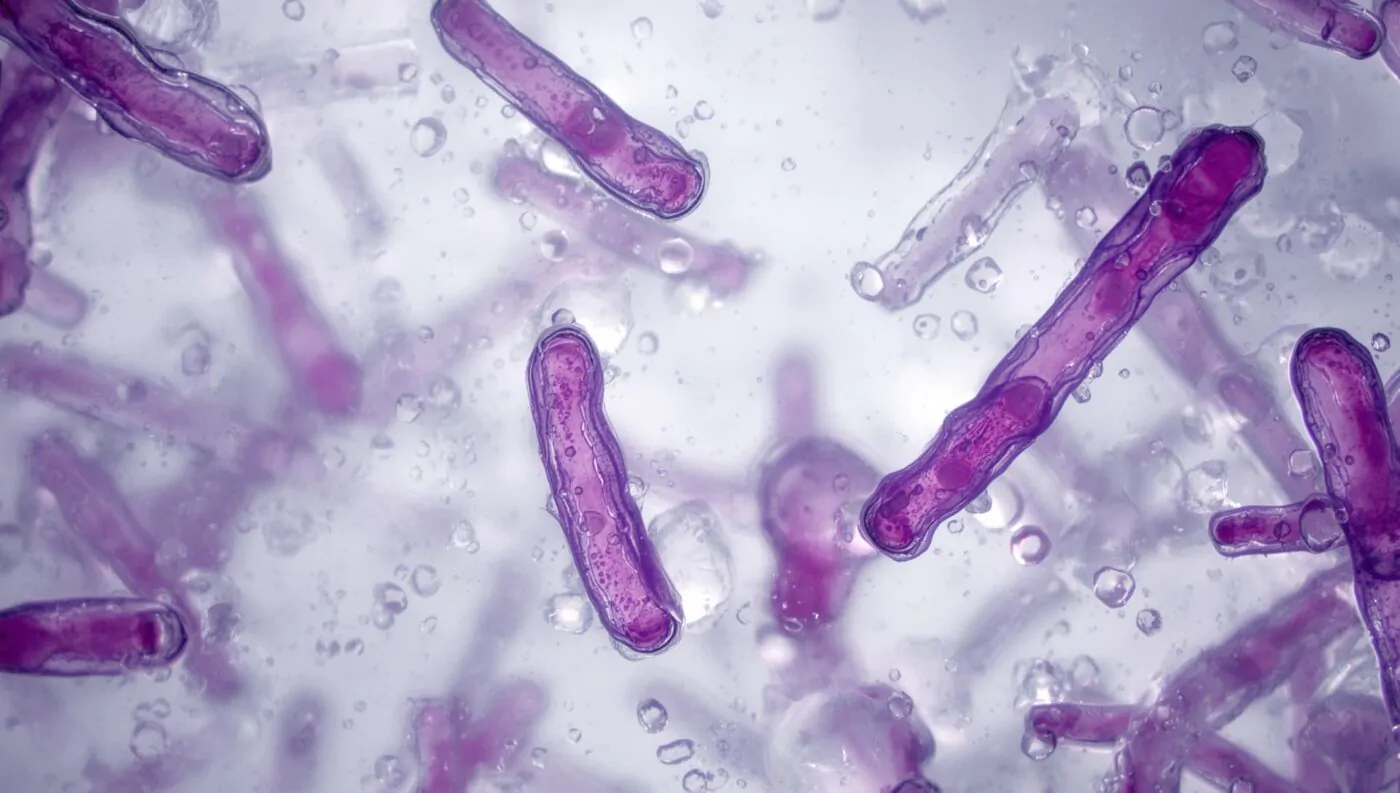 Latest Developments in the NYC Outbreak